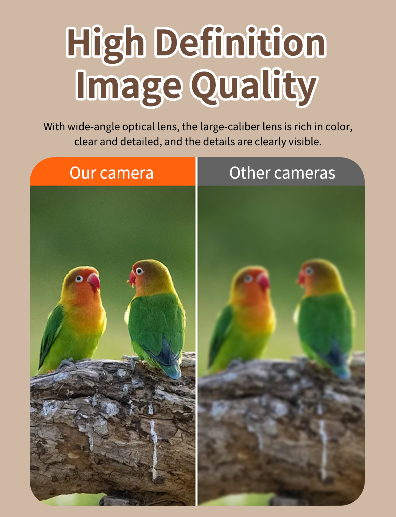 STLFSmart Bird Feeder HD Camer - مراجعة Power Outdoor وسعره