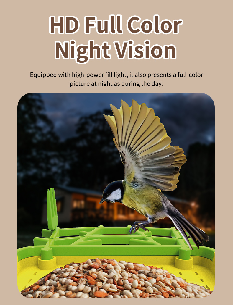 STLFSmart Bird Feeder HD Camer - مراجعة Power Outdoor وسعره