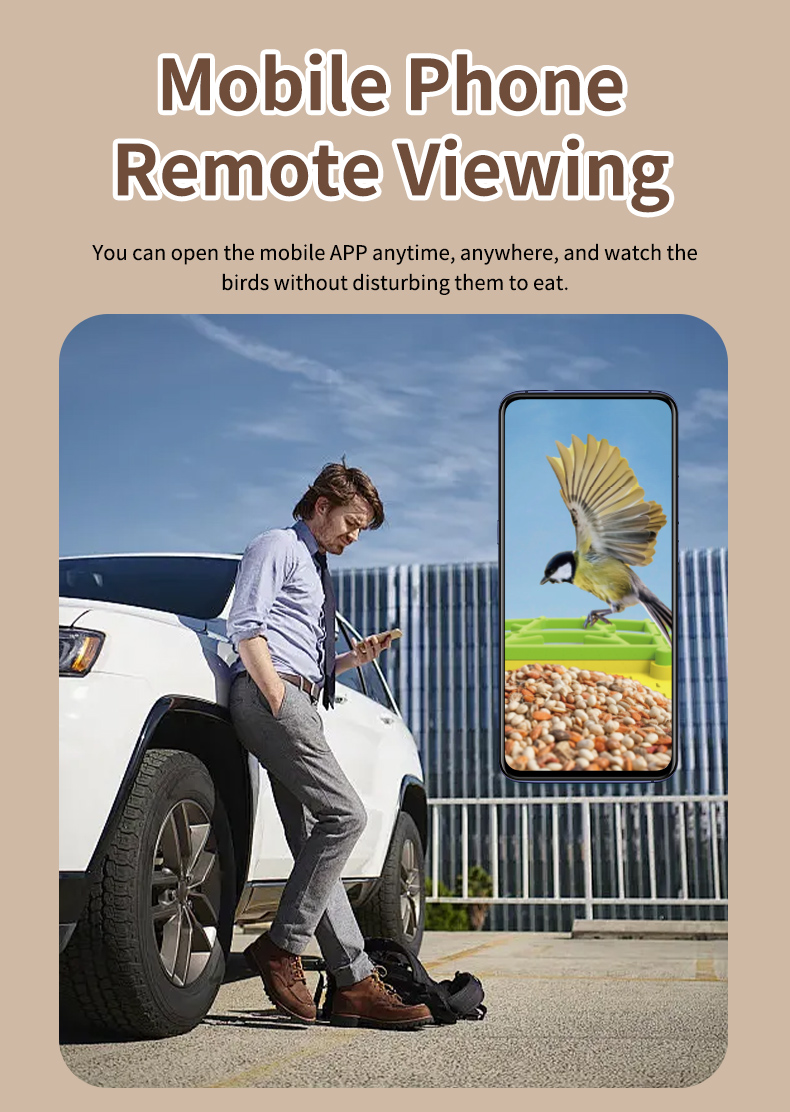 STLFSmart Bird Feeder HD Camer - مراجعة Power Outdoor وسعره